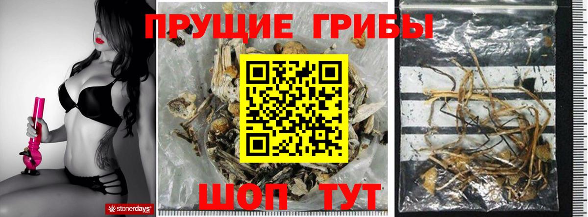 Галлюциногенные грибы ЛСД  Псилоцибиновые грибы GOLDEN TEACHER  Вход с VPN  Кашира 