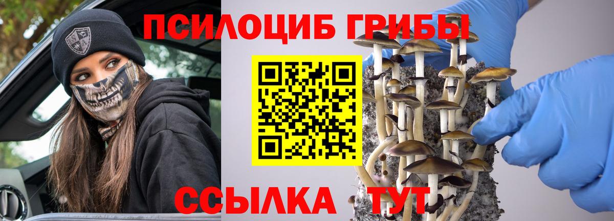 Галлюциногенные грибы мухоморы Кашира